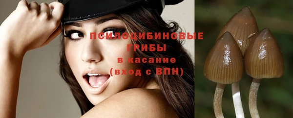 а пвп мука Навашино