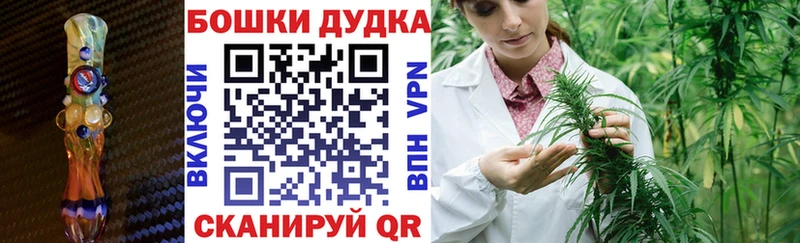 Бошки Шишки семена  Циолковский 